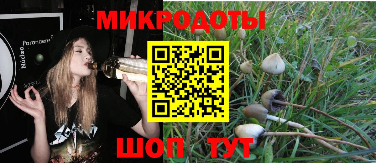 Галлюциногенные грибы Psilocybine cubensis  Вход с VPN  Альметьевск 